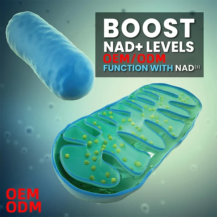 Supplements NAD3 NAD+ Booster Value Size 120 Capsules