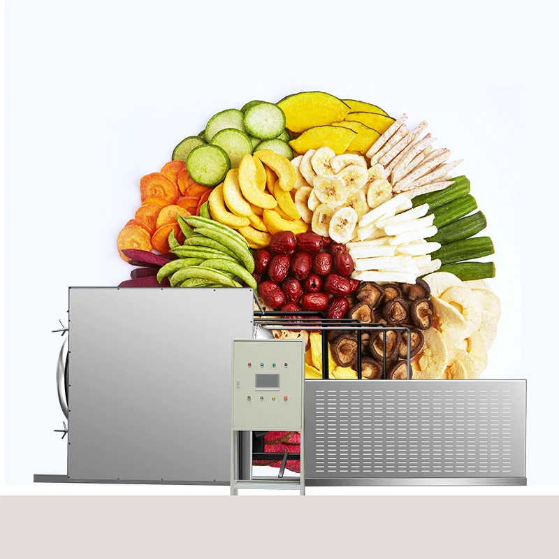 Fruit Food Vegetables Freeze Dryer 100~1000kg lyophilizer Industrial Grade Vacuum Freeze Drying Machine