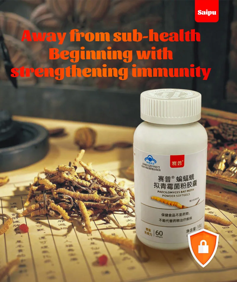 Hepialidae Paecilomyces Powder