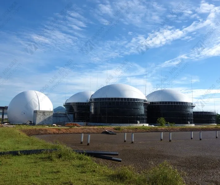 
Automatic Controlled Membrane Biogas Storage Tank/Biogas Balloon/Gas Holder for Biogas Digester in Malaysia 