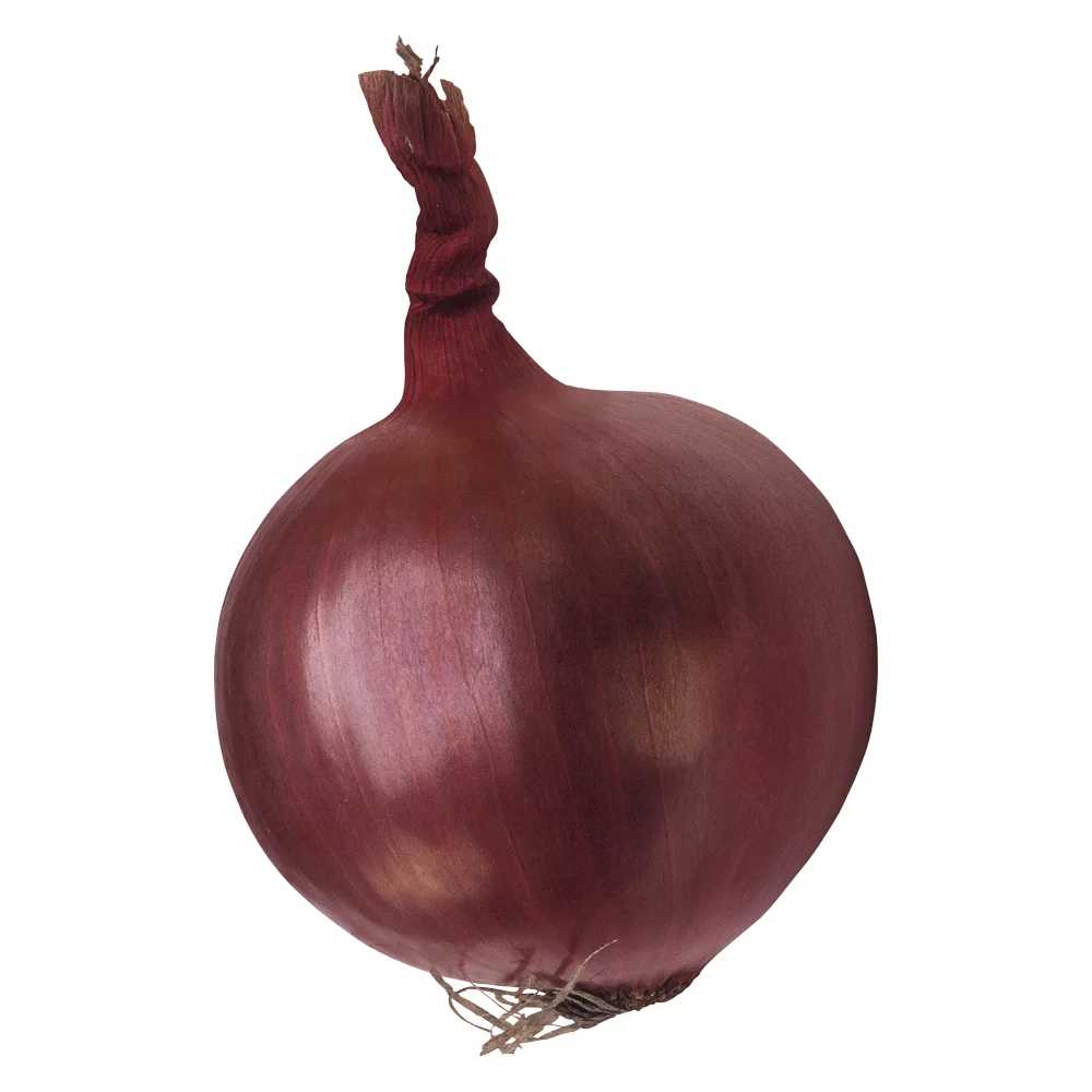 2023 new crop of brand fresh onions Red Shallot seeds price per ton in China for Thai shallot importers for sale