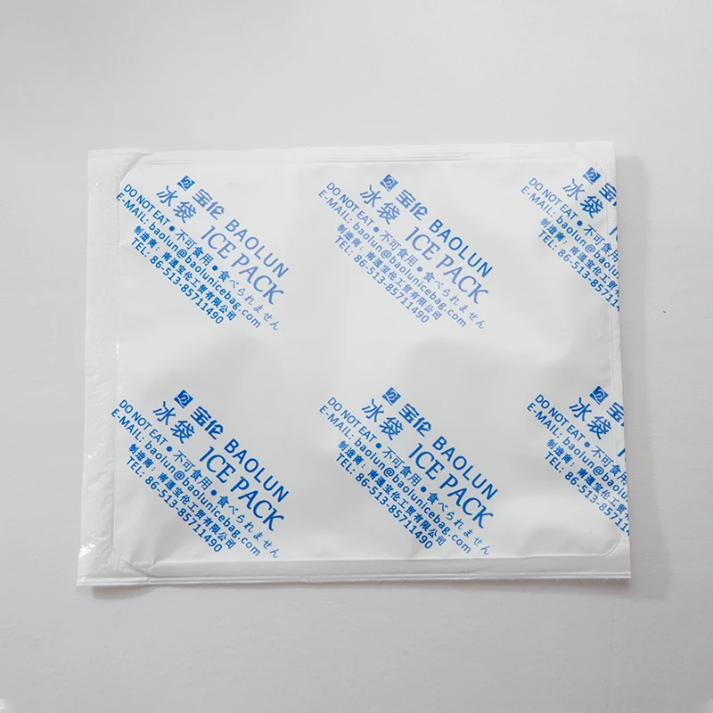 BSG Packs Cooler Bag Boxes Reusable For Cold Fresh Food Shipping Gel Ice Pack Food Grade Dry Ice Pack