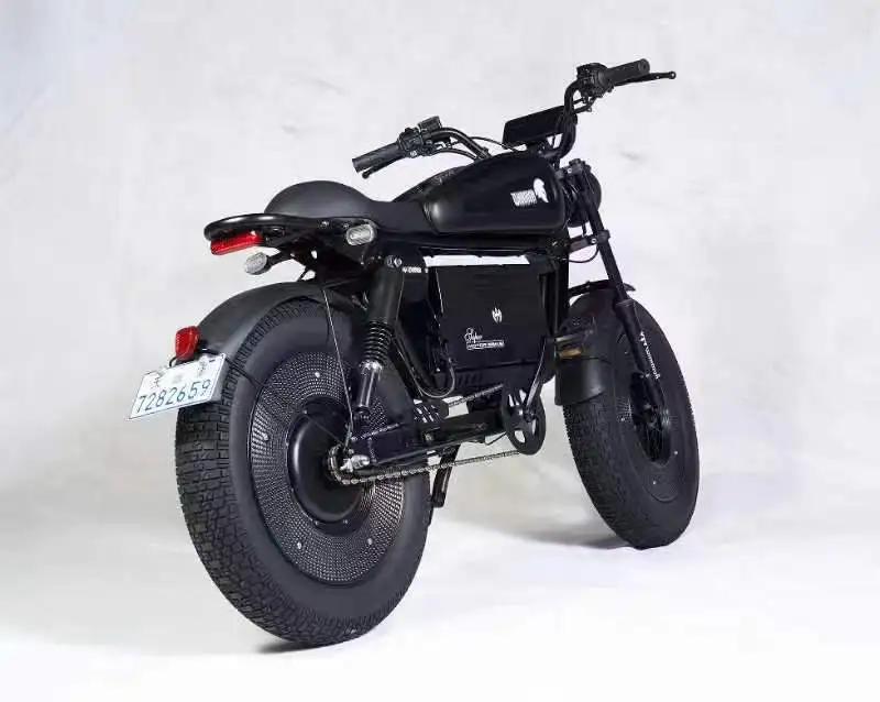 2024 Newest EcoRider HiMoto Fat Tire Electric Bike 20*5.0 Tire 48V 30Ah/60Ah All Terrain Electric Hybrid Bicycle