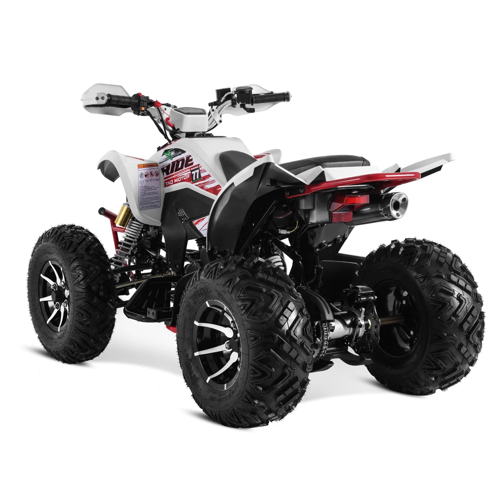 Tao Motor 2024 New Cuatrimoto Manual Gear 250cc 4x4 ATV Automatic Electric Start Alloy Rim Moto Tvs 125 Chain Drive Adult Size
