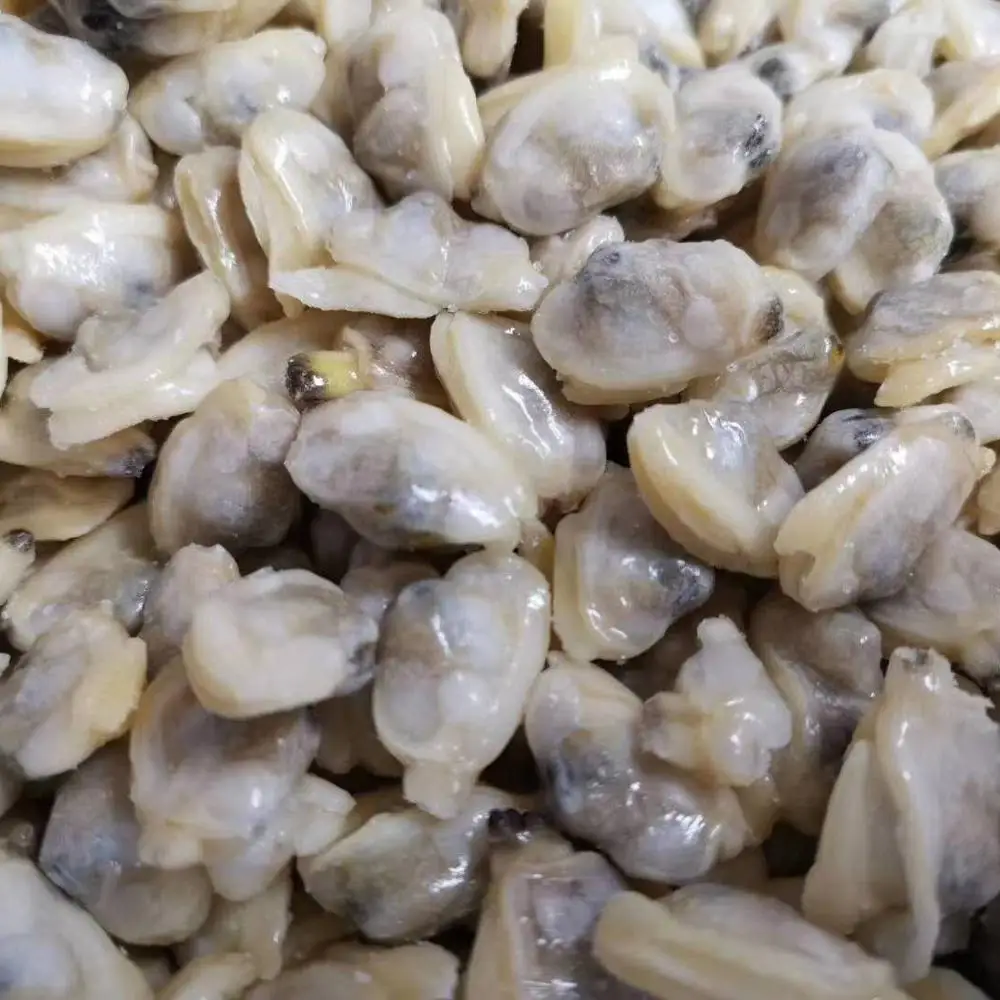 
FROZEN BOILED FRESH BABY CLAM MEAT 