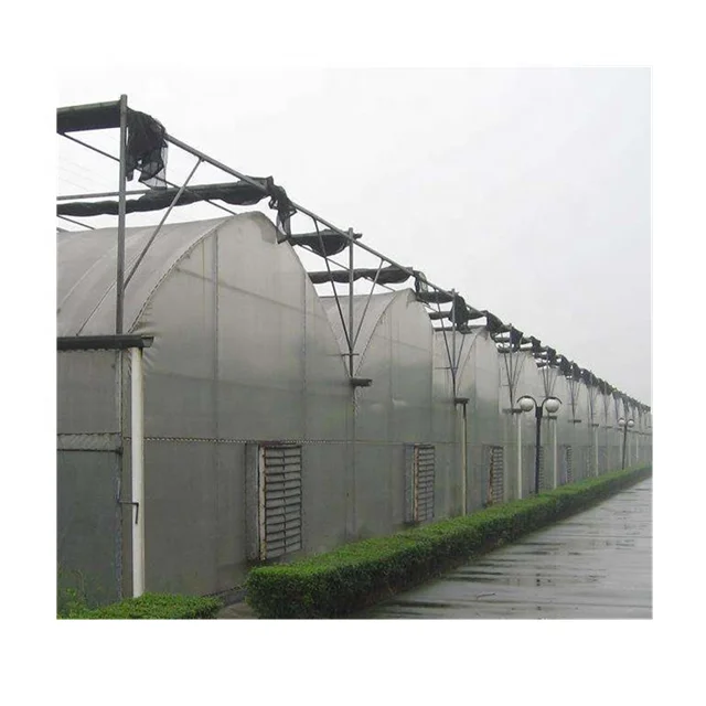 Polytunnel type Agricultural portable Film aquaponics Greenhouse