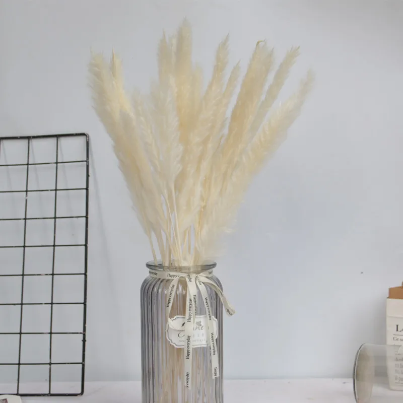Natural Dried Flowers Small Natural Pampas Grass Wedding Wall Decoration Home Arrangement Office Baby Pampas