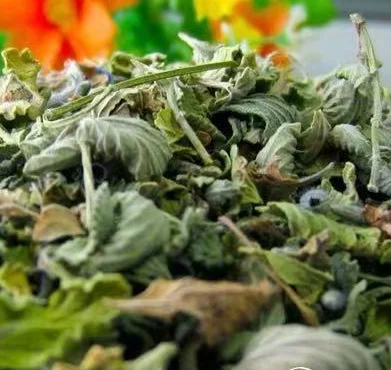 Заводская поставка сушеных чистых кошачьих листьев непеток/кошачьей мяты для корма для кошек и игрушечного наполнителя