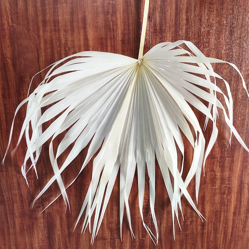 
wholesale of high quality wedding decoration preserved palm 