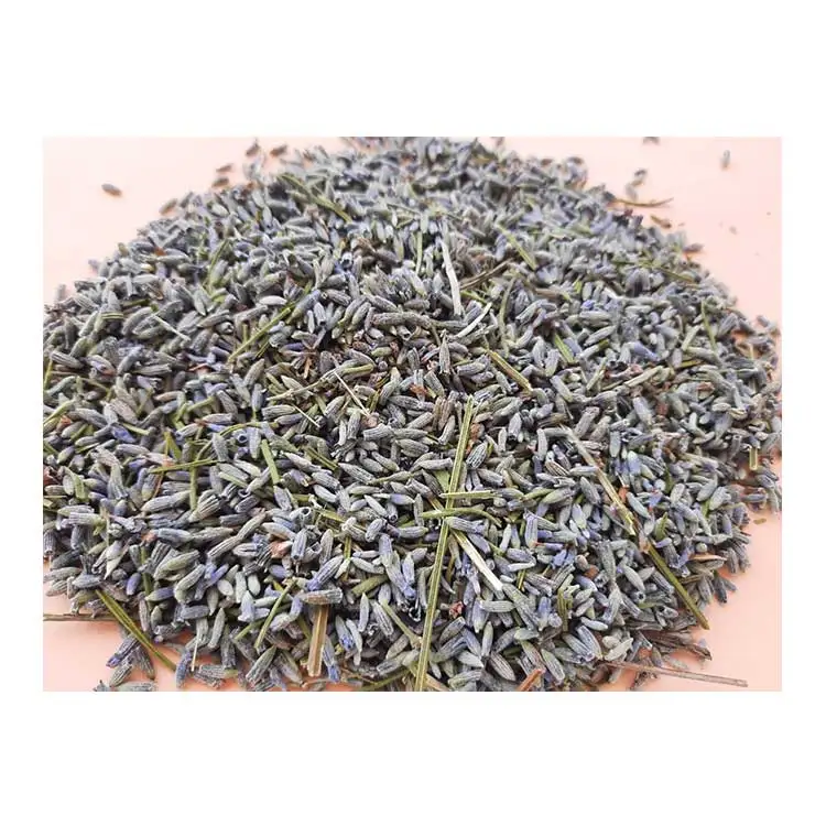 Wholesale Dried Organic lavender dried lavender buds lavender flowers bulk tea