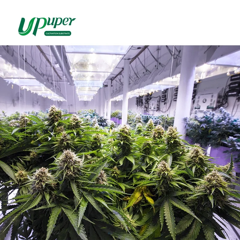 UPuper Cultivation Master hydroponic rock wool CM15 Pro hydroponic sponge for green houses agriculture commercial