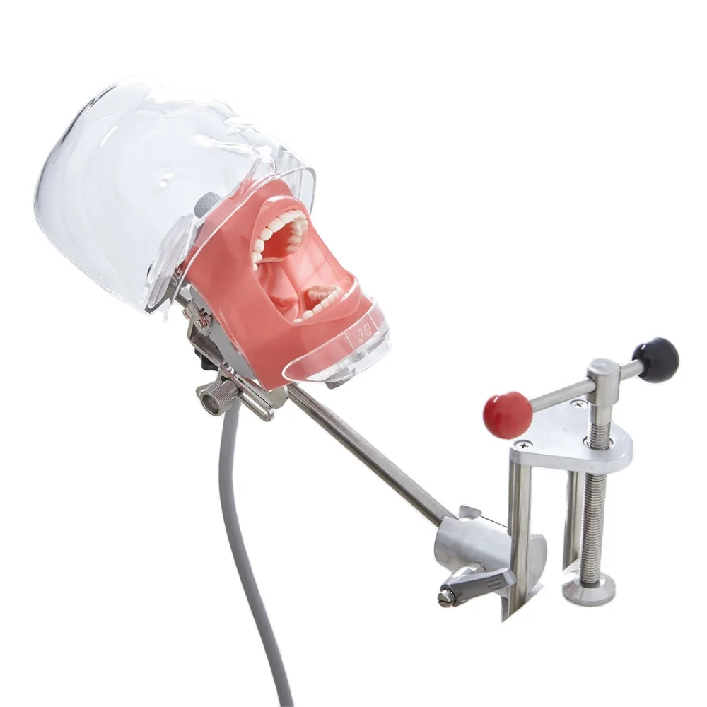 phantom head dental model desk type oral therapy equipments for school training manikin simulator typodont dental laboratory