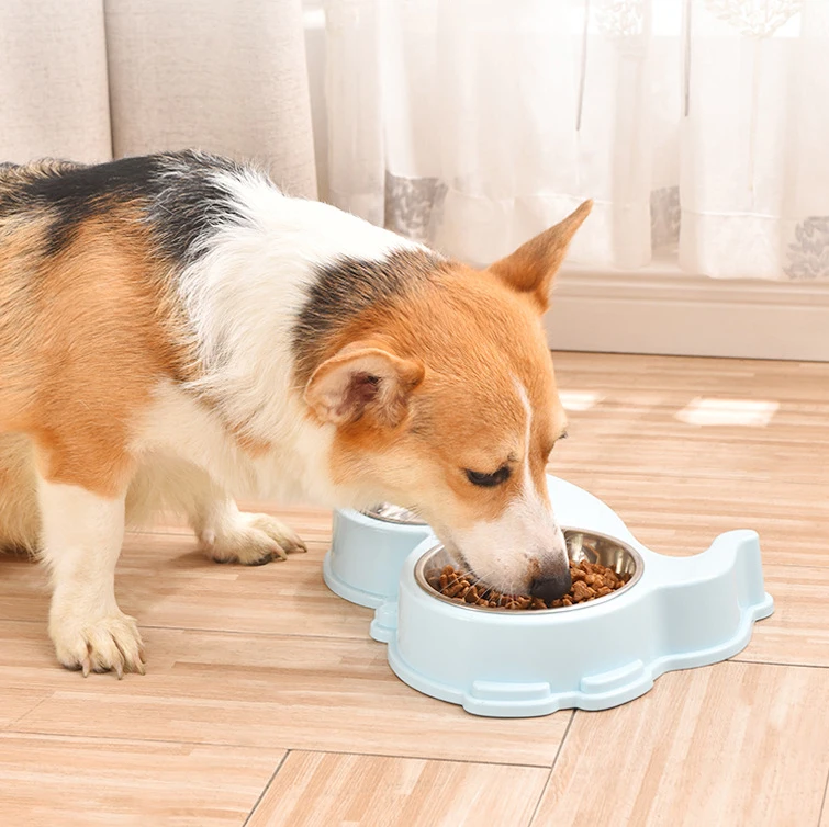 2021 New Monochrome Pet Supplies Cat and Dog Feeder Double Bowl Water Feeding Separate Detachable