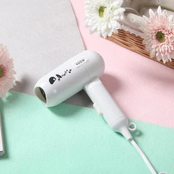 Hot sale factory direct oem hair travel case mini hair dryer Cheap Price