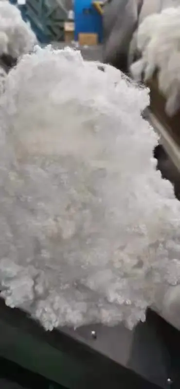 2.5D*51MM Hollow Conjugated Silicon Recycled Polyester Staple Fiber for Filling