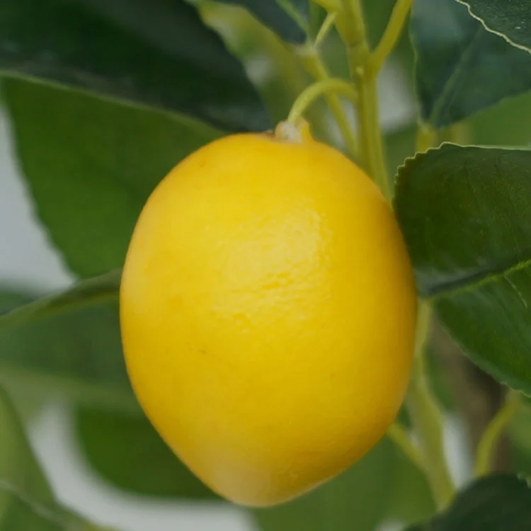 China factory direct sale faux potted lemon fruits tree 70cm Real touch artificial lemon tree in plastic pot for decor