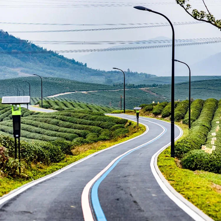 Стандарт ЕС NOP JAS очищенный китайский Премиум Органический чай Oolong Shui
