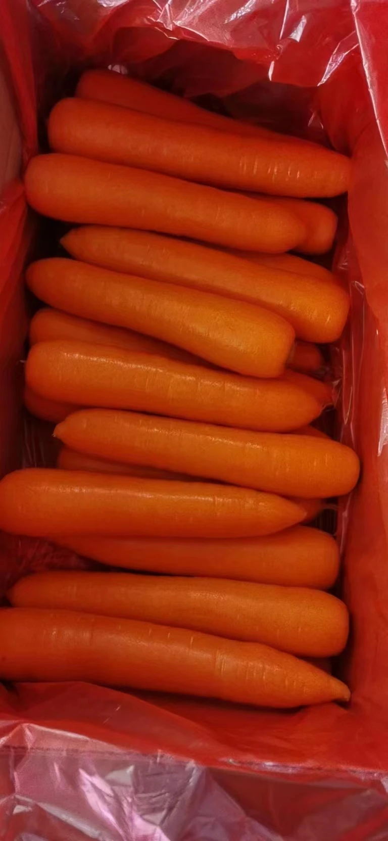 Fresh China Carrot Red Carrot