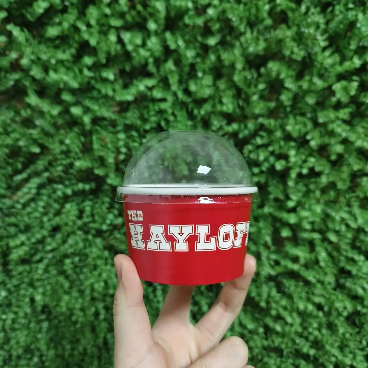 AT PACK New Arrival 3Oz 5Oz 8Oz 10Oz Ice Cream Paper Cup Packaging Custom Disposable Ice Cream Packaging Paper Cup With Lid