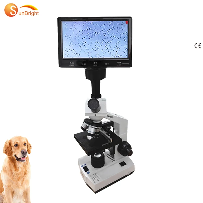 CE VET Veterinary medical laboratory microscope for veterinary vet hospitals use