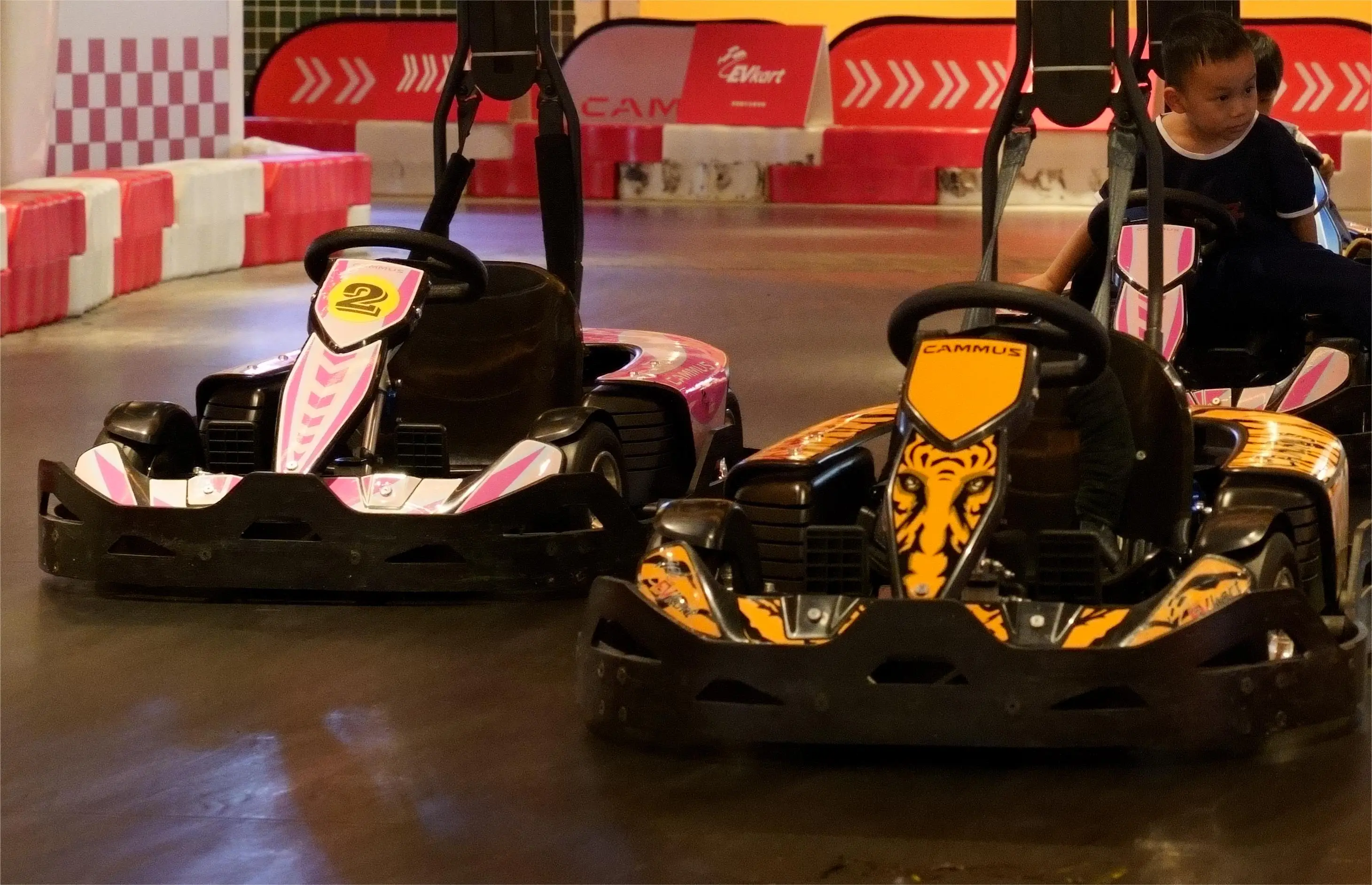 CAMMUS Pure Electric Commercial Kart Suitable for Adults