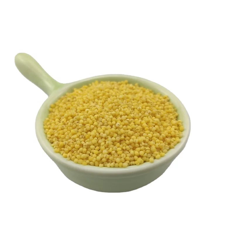 Gluten-Free  yellow millet without husk  healthy food