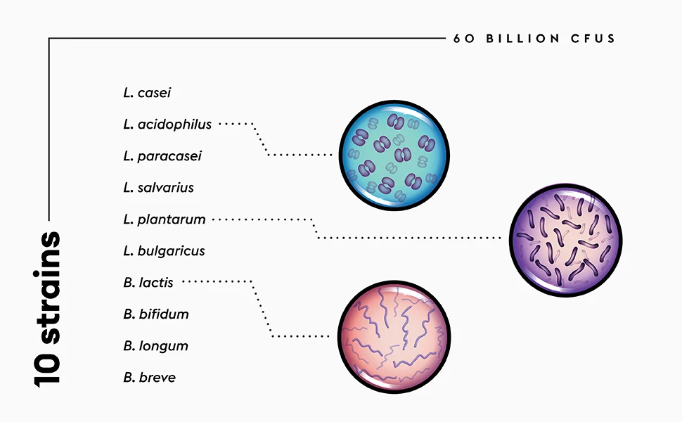 High quality oem mixed probiotics L.Acidophilus L.Rhamnosus L.Plantarum B.breve B.longum powder