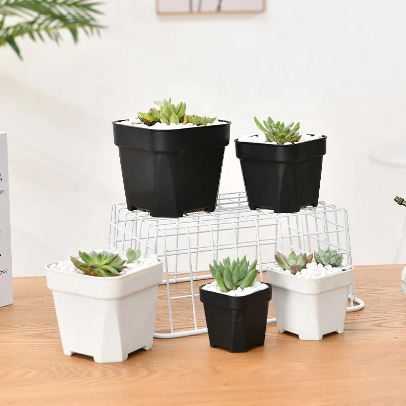 5cm small thick durable square nursery succulent cactus flower pot