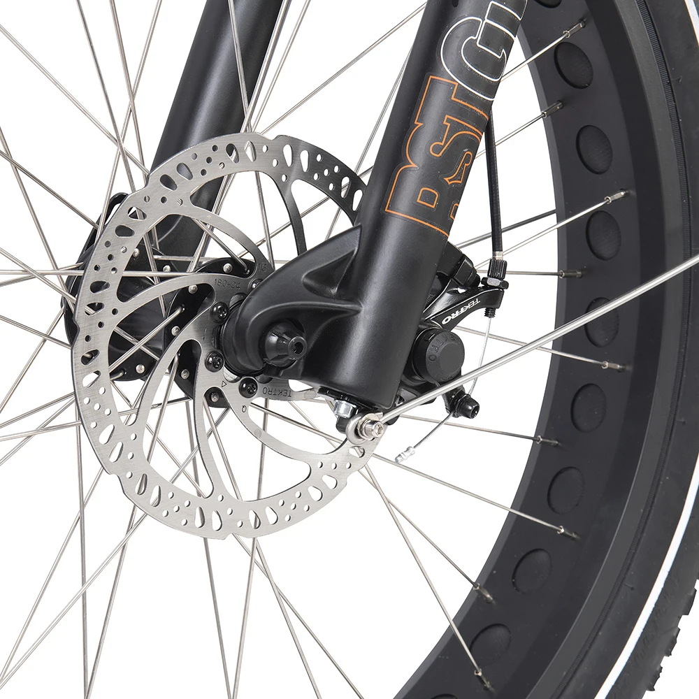 Power torque e-bike electric mountain bike new model electric bicycle alloy aluminum frame fat tire snow MTB ebike