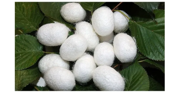 Chinese customized persian carpets and rugs henan silk carpet 3X4.5ft