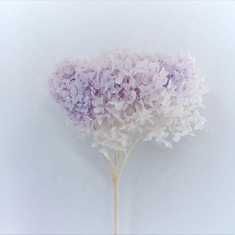 Custom color preserved hydrangea preserved flowers wedding garland floral foam cage