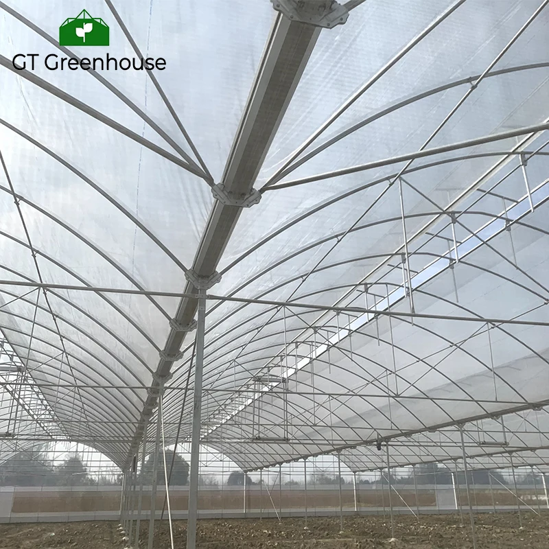 GT Arch Green House металлический каркас многопролетных сельскохозяйственных теплиц