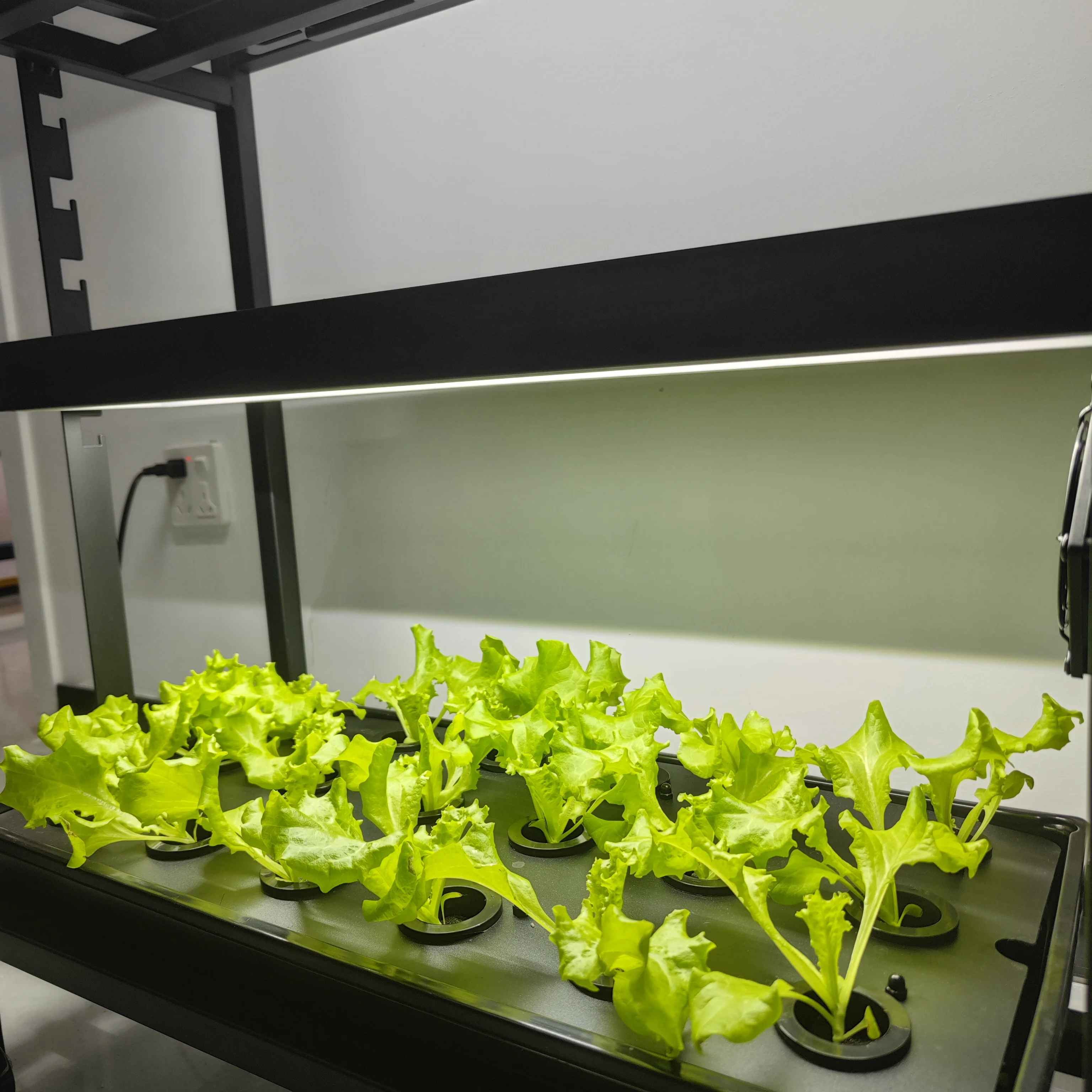 Indoor Garden Kitchen Herb Planter 1020 Hydroponics Grow Kit