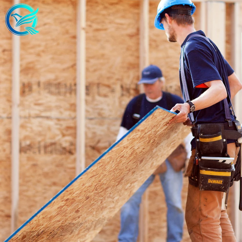 7/16 tongue and groove osb plywood board sale