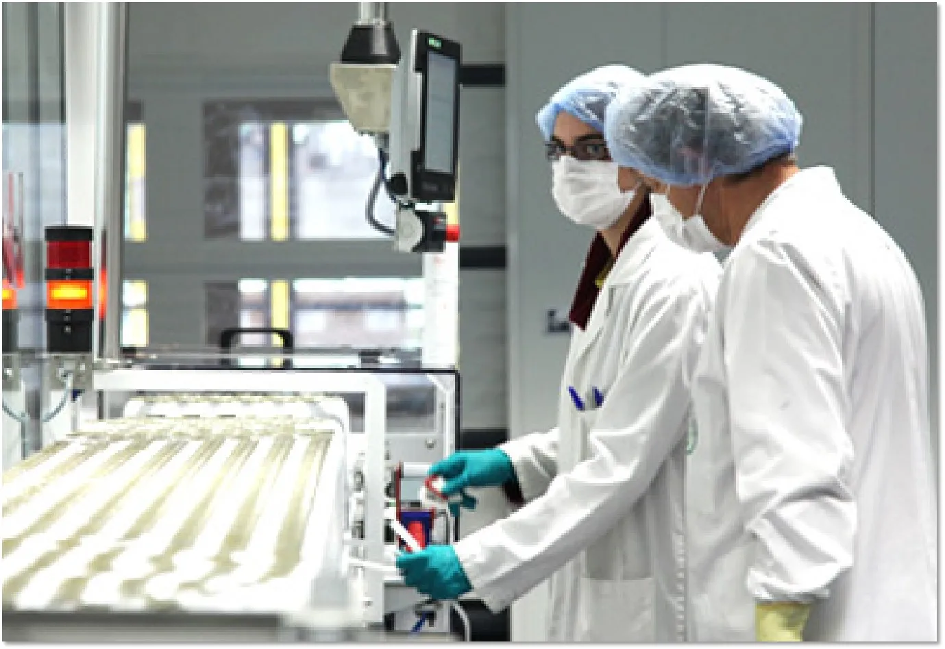 Health Food Dietary Supplement High Purity Chlorella Extract Powder