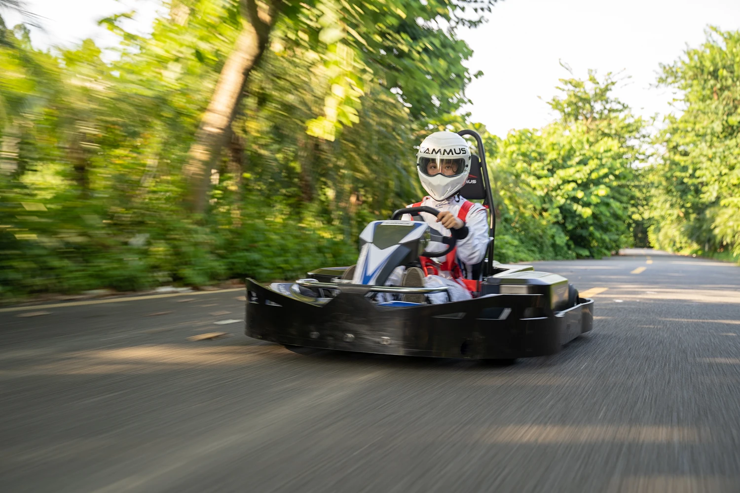  Высокоскоростная электрическая машина Go Karts для взрослых и детей руль педаль каратинга