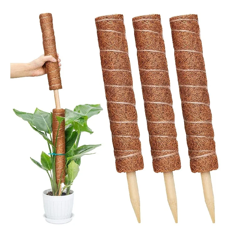 30cm coir plant moss pole or totem pole Gold suppliers