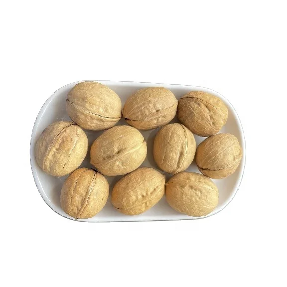 Xinjiang Aksu Walnuts In Shell Paper Shell Walnuts Best Selling Walnuts