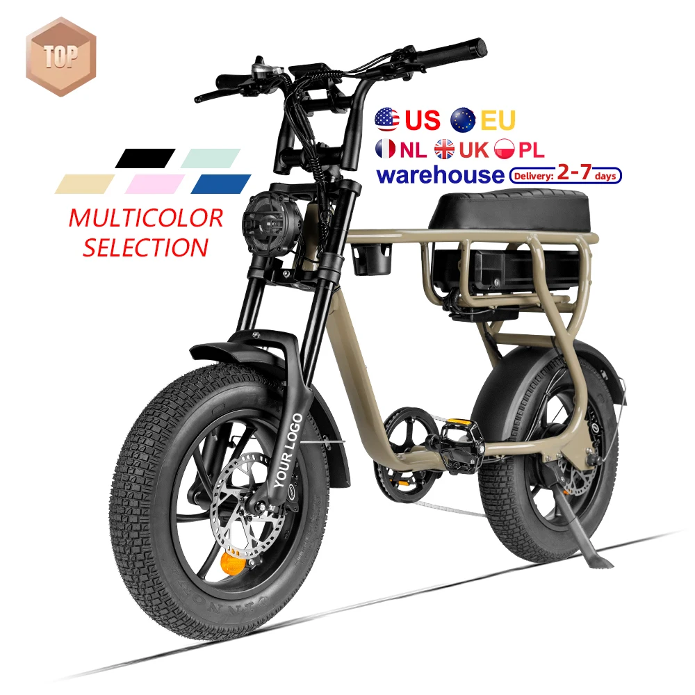 EU/US Warehouse Cheap 250W Fat Tire Electric Mountain Bike for Adults All-Terrain 16-Inch E-Bike