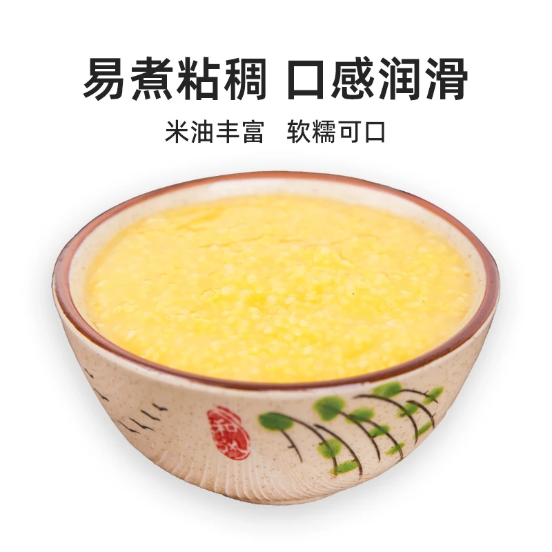 China best price Wholesale exporting grade millet seed yellow millet for sale