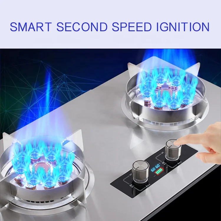 stainless steel panel big fire built in Liquefied Petroleum gas 2 burner gas stove cooker