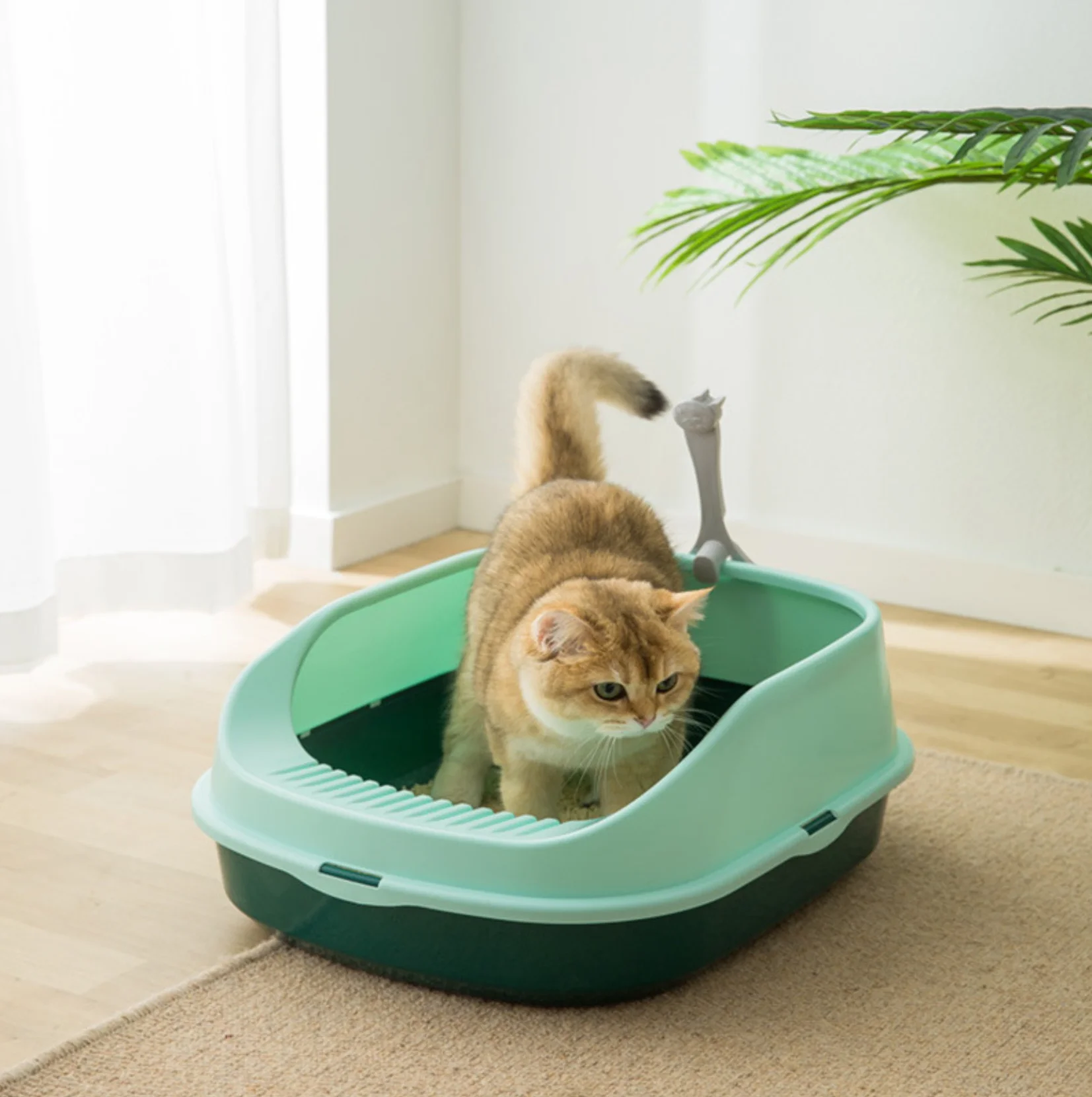 New type of cat litter basin semi closed splash proof Cat Toilet kitten poop basin small size cat litter shove