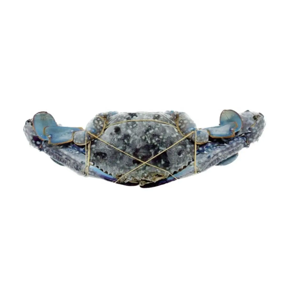 Frozen Whole Round Blue Swimming Crab Portunus Pelagicus Seafood Best Quality from Indonesia