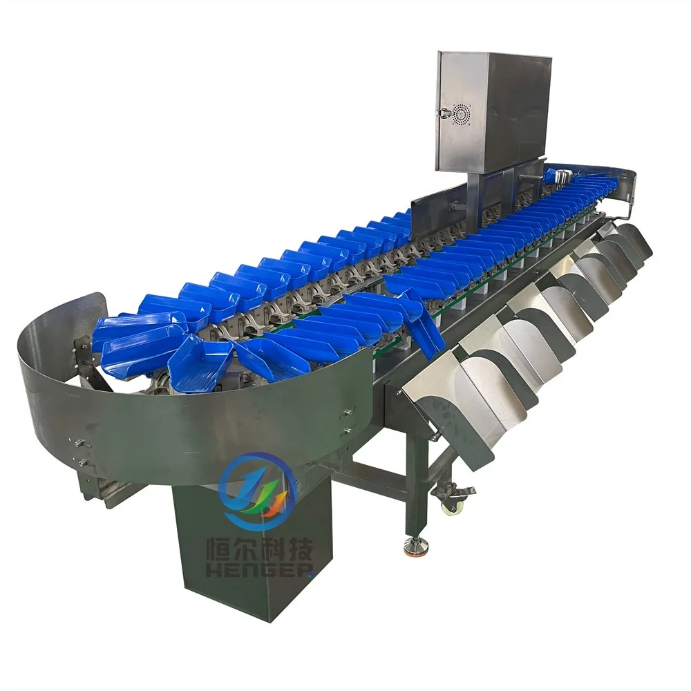 16/12 head combination weigher Sorting grader and batch weigher machine for fruit durian sorter