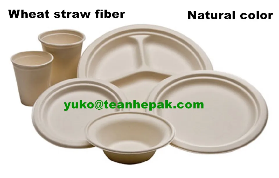 Biodegradable plates sell off disposable bagasse food containers100% compostable sugarcane bagasse food dishes for dinner