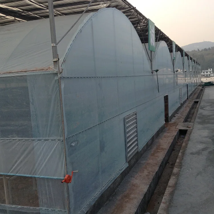 Automatic Multi Arch Multi-span Agricultural Greenhouses With Hydroponics Equipment Greenhouses