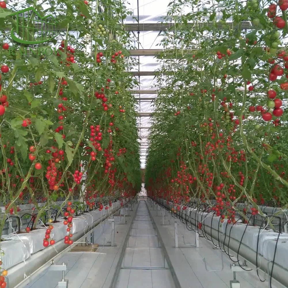 
agriculture hydroponic co2 controller for greenhouse with plant nursery irrigation bench system 