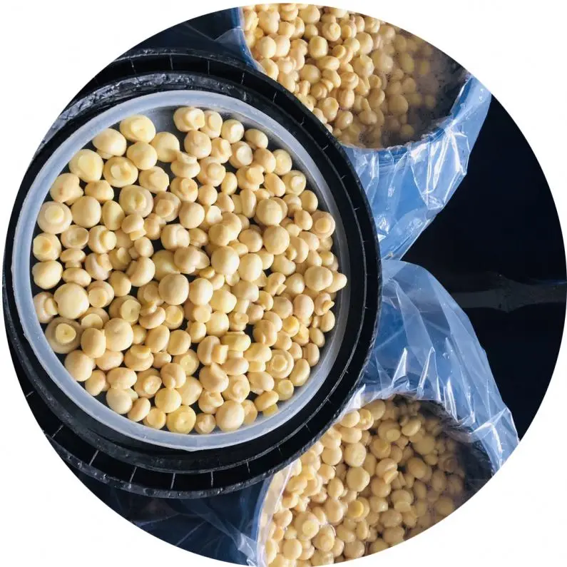 
Whole Boletus Edulis Mushroom in Brine 