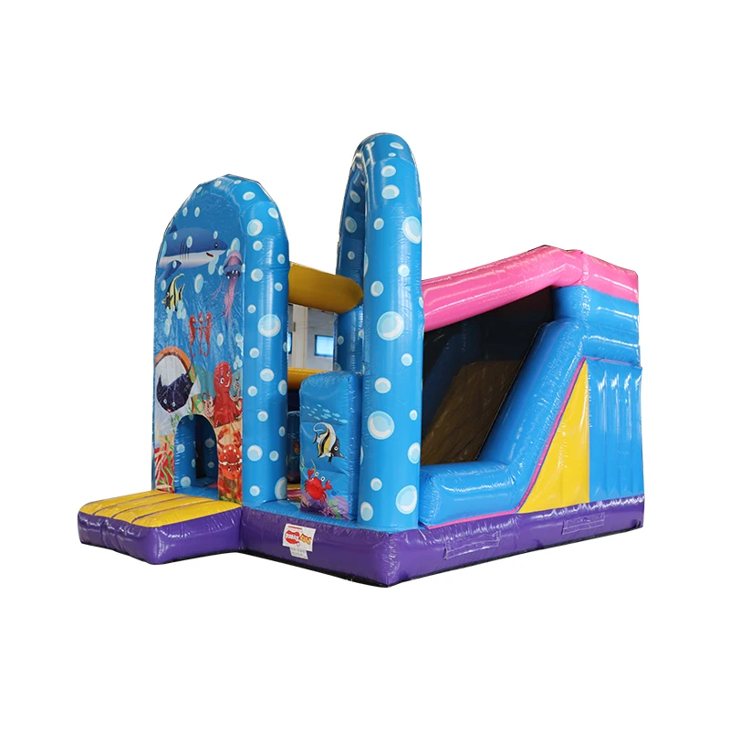 AOQI Design Custom Inflatable Bounce House Indoor With Slide
