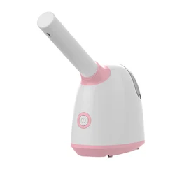 New Trending ODM OEM Portable Electric Nano Mist Sprayer Mini Face Spa Facial Steamer